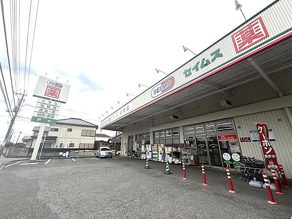 セイムス　300ｍ　徒歩3分