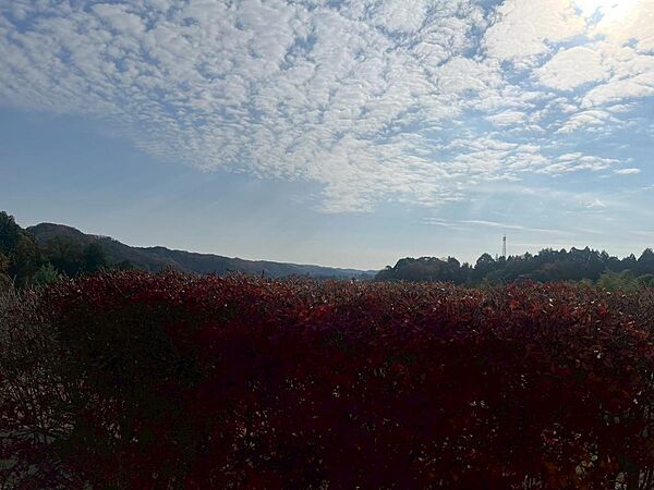 敷地からの風景