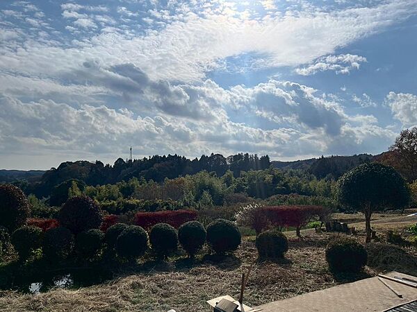 敷地からの風景