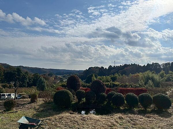 敷地からの風景