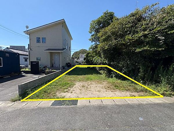 土地の外観を別角度から撮影。北側隣地の植木が越境しています。