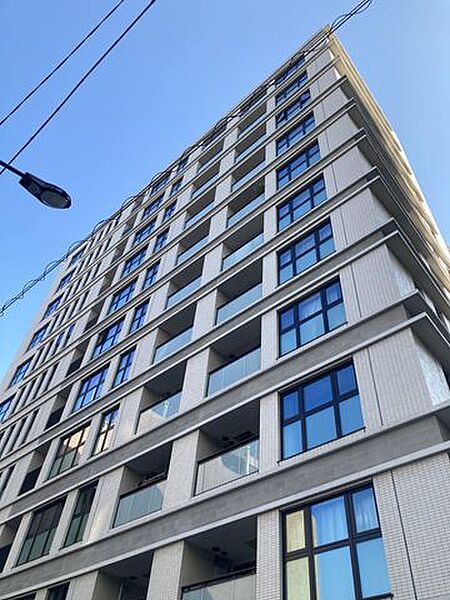 外観：313004526268