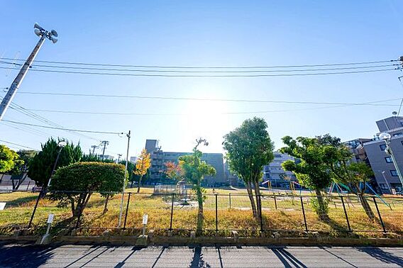 開放的な公園ビ...