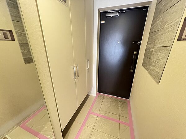 エコカラット設置・玄関
