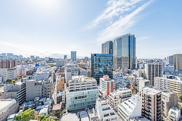 西向きバルコニーからの眺望