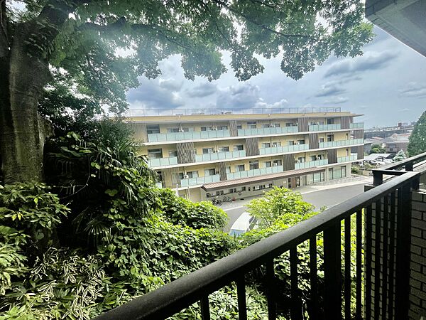 南東側バルコニーから南向きの眺望