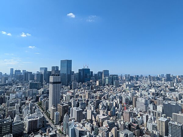 バルコニーからの眺望（眺望は永続的に保証されるものではございません）