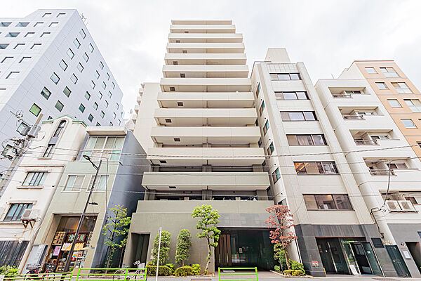 外観：313004335624