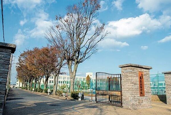 大阪府立農芸高等学校 1100m