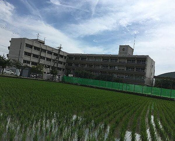 松原市立河合小学校 880m