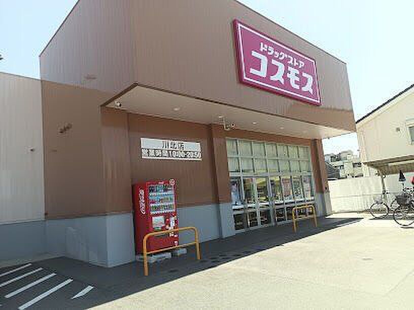 Image 6