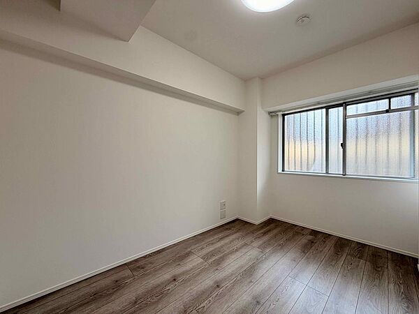 2026年7月撮影