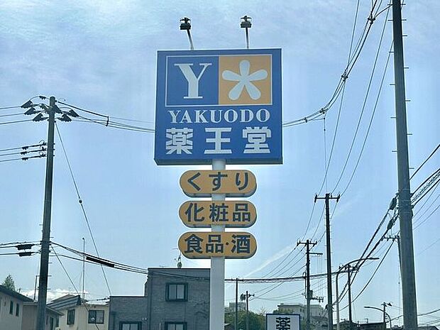 薬王堂多賀城山王店 1030m