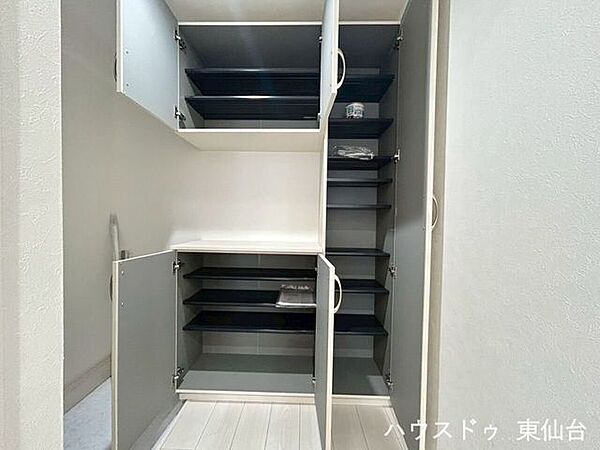 靴がどんどん増えていってしまいそうな靴箱です
