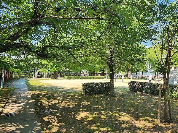 城北公園