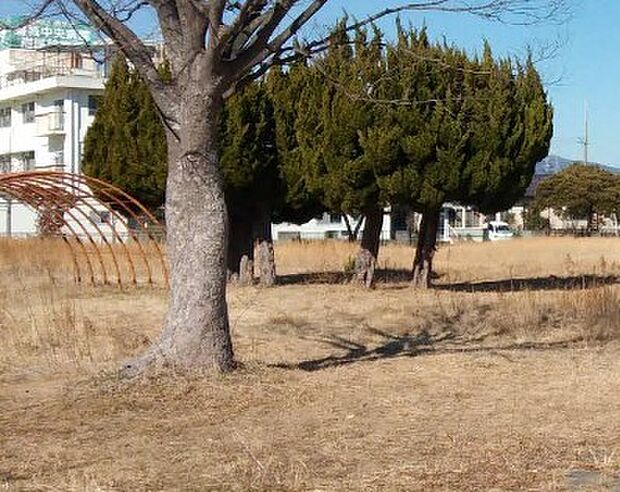 小名浜中央公園（1100m）