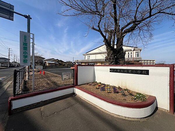 水戸市立渡里小学校（900m）