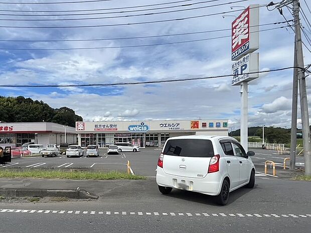 ウエルシア　小美玉玉里店（850m）