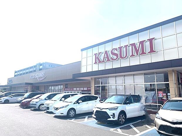カスミフードスクエアひたちなか笹野店(9000m)