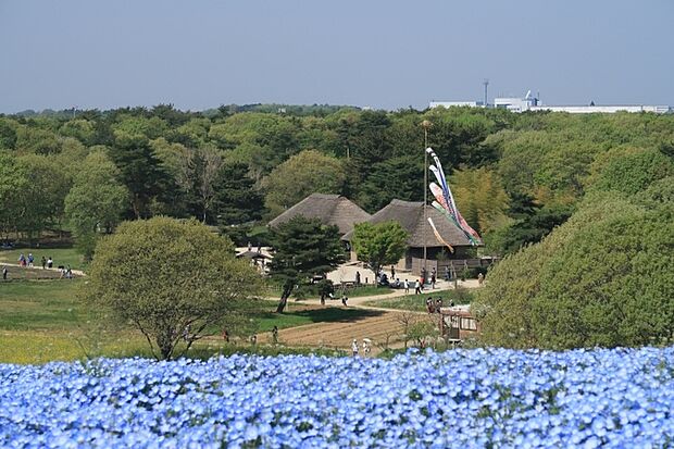 国営ひたち海浜公園(5100m)