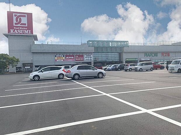 フードマーケットカスミ那珂湊店（3700m）