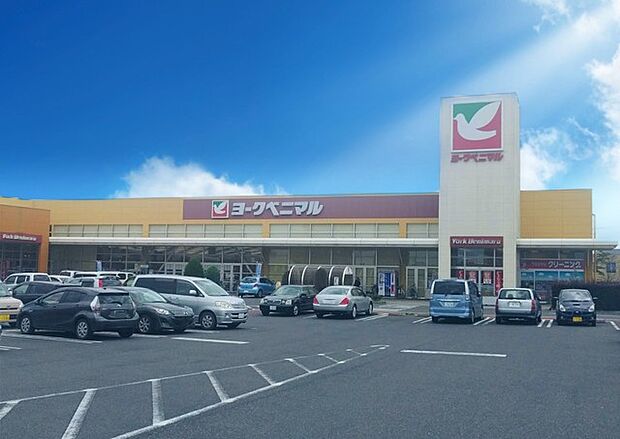 ヨークベニマル赤塚店（2500m）