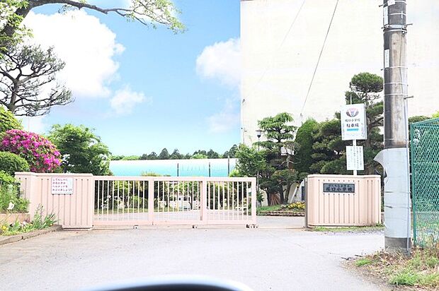 堀口小学校（500m）