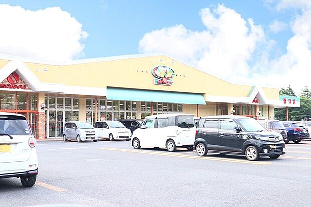 サンユーストアー堀口店(610m)