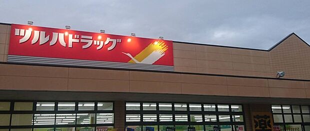 ツルハドラッグ城里店（1200m）