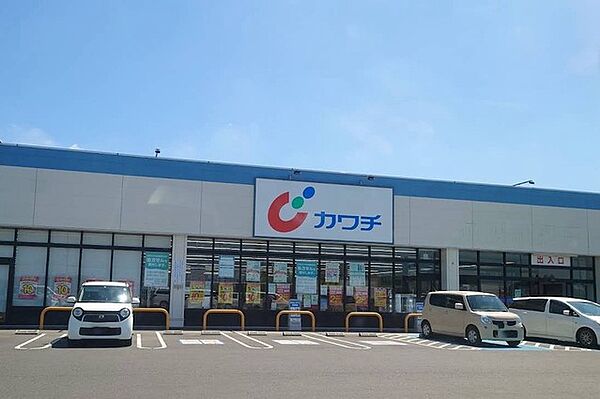 カワチ薬品桜の郷店（750m）