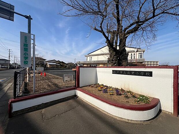 水戸市立渡里小学校(750m)