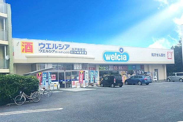 ウエルシア水戸新原店（980m）