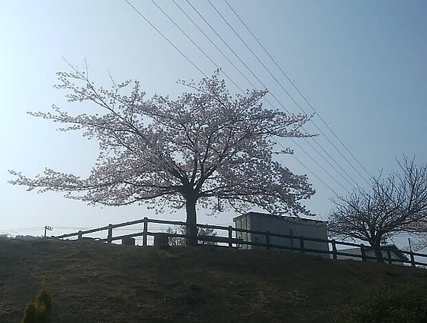 日立市立台原中学校(850m)