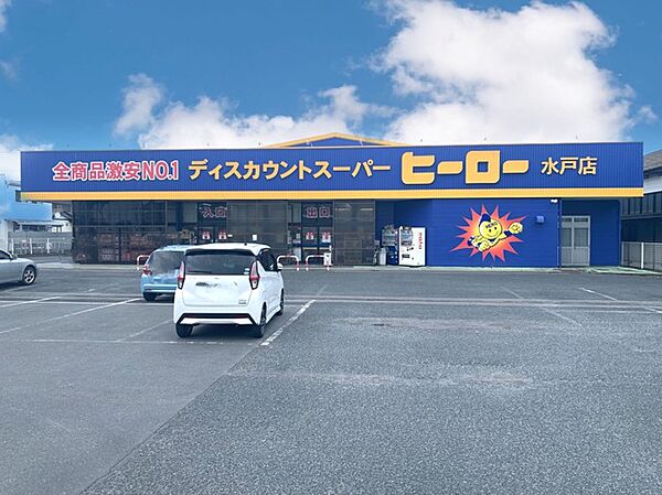 ディスカウントスーパーヒーロー水戸双葉店（1600m）