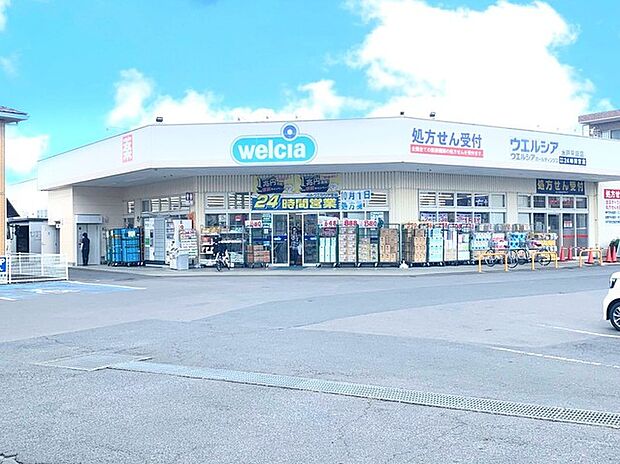ウェルシア水戸平須店(1000m)