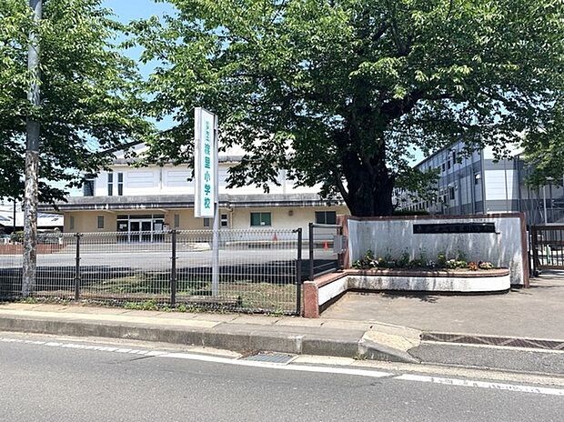 渡里小学校（250m）