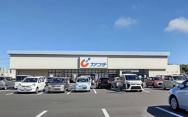 カワチ薬品那珂湊店(1200m)