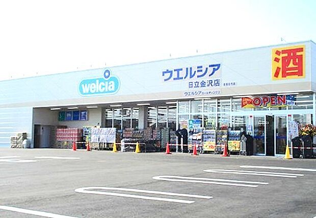ウェルシア日立金沢店(800m)