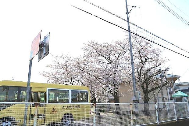 よつば幼稚園（4700m）
