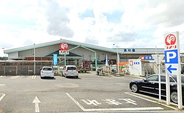 コメリハード&グリーン美野里店(2100m)