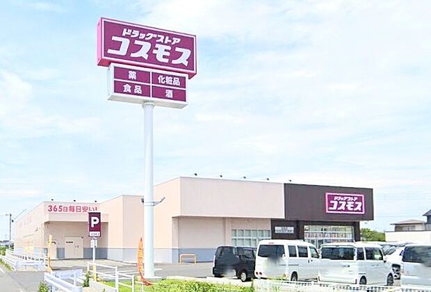 ドラッグストアコスモス 田彦店(570m)