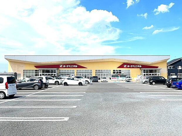 ヨークベニマル田彦西店(740m)