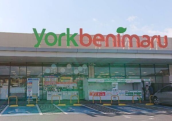 ヨークベニマル日立川尻店（750m）