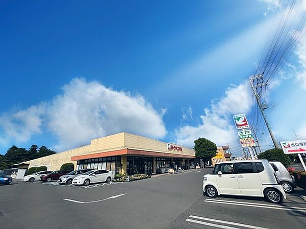 ヨークベニマル双葉台店（550m）