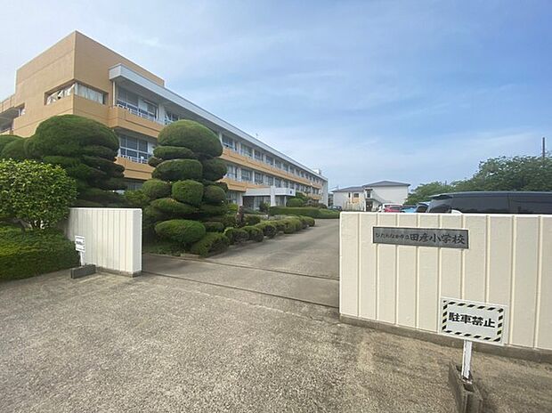 ひたちなか市立田彦小学校（600m）