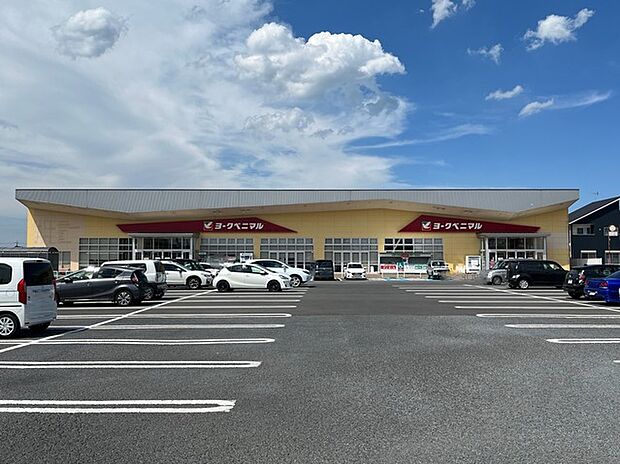 ヨークベニマル田彦店（1100m）