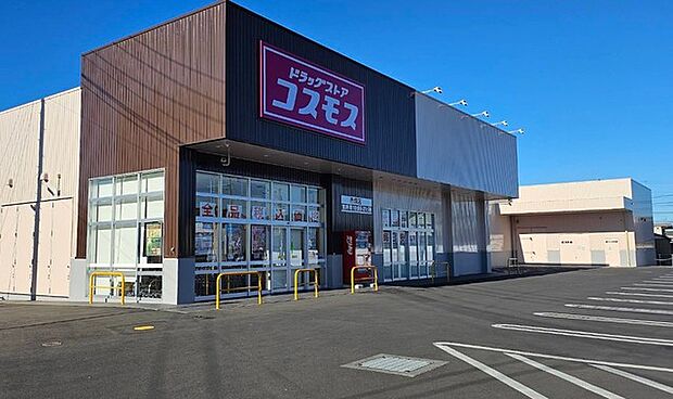 ドラッグストアコスモス赤塚店(850m)