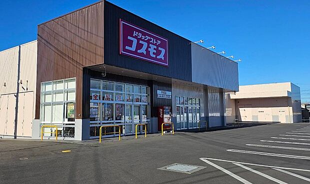 ドラッグストアコスモス赤塚店(850m)