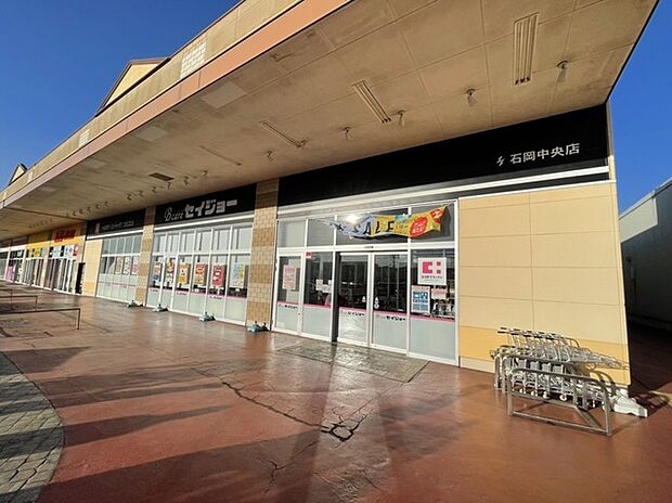 ココカラファインセイジョー石岡中央店(350m)