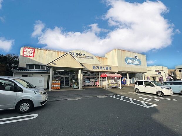 ウエルシア石岡東光台店(800m)